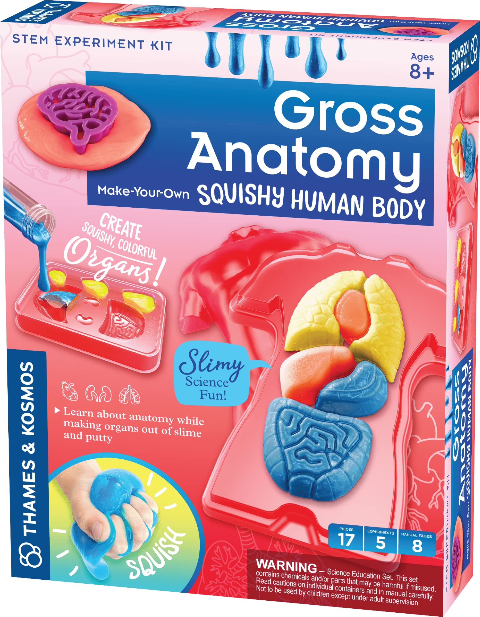 Thames & Kosmos Gross Anatomy: Make-Your-Own Squishy Human Body, Kids Science Kit, Learning Resources for Anatomy and Biology, STEM Toys for Science Experiments, Age 8+
