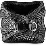 Petco Brand Bond And Co Reflective Black Mesh Dog Harness