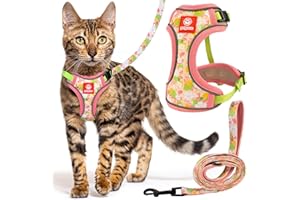 Petgrove Cat Harness and Leash Set for Walking, Escape Proof Vest Harnesses for Cats, Breathable Mesh with Reflective Strips - (Tropical Paradise), X-Small