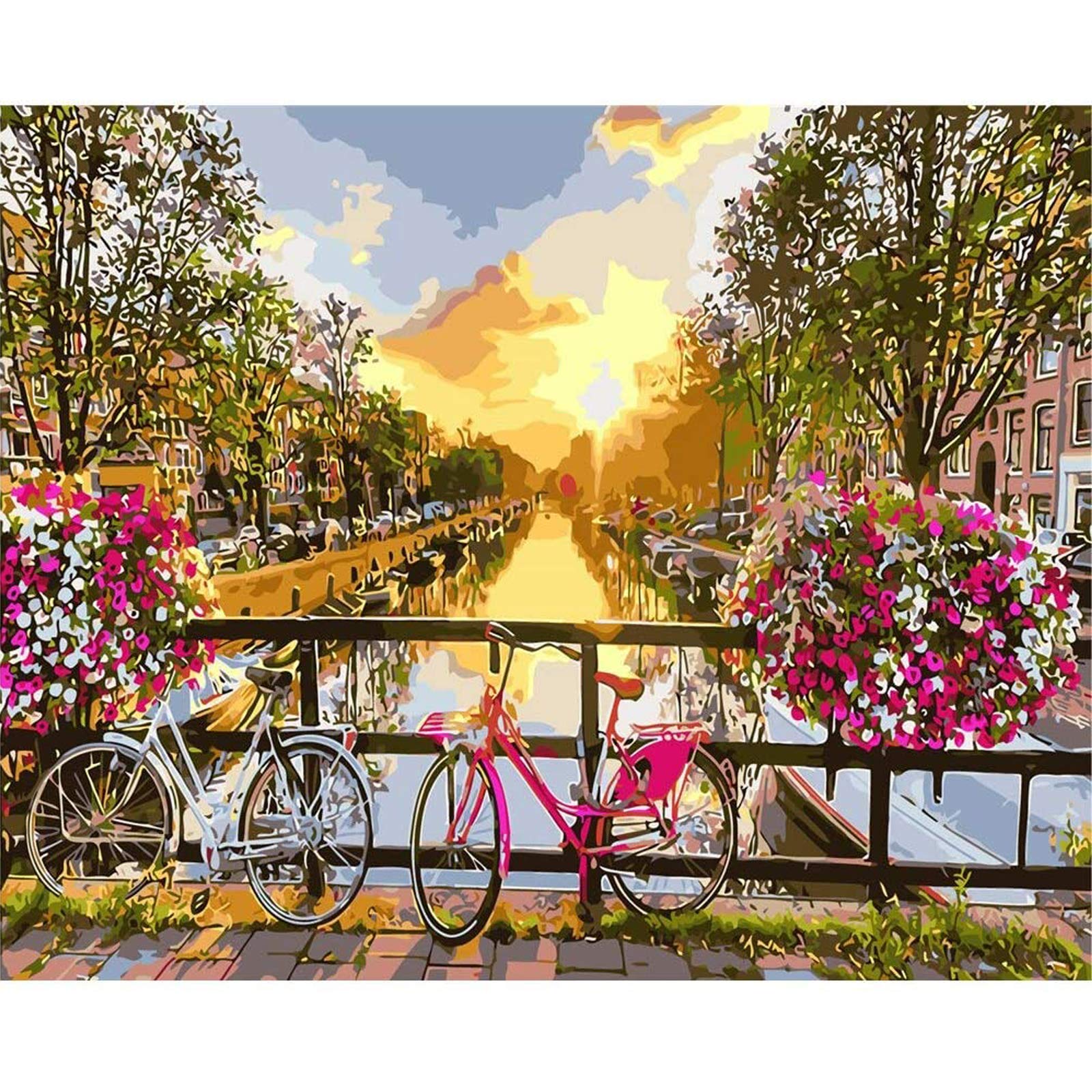 sukoly Paint by Numbers,Paint by Numbers Bicycle for Adults Kids Beginners 40 * 50 cm Sunset Paint by Numbers Kits for Adults Home Wall Decoration Without Frame - Flower Bike — image 1