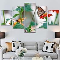 SIGNWIN 5 Panel Canvas Wall Art Modern Art Bee Butterfly Colorful Contemporary Insects Multicolor Photography for Home Decorations Ready to Hang - 60