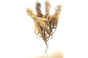 WING FUNG HONG Dried Octopus 大章魚 16 oz