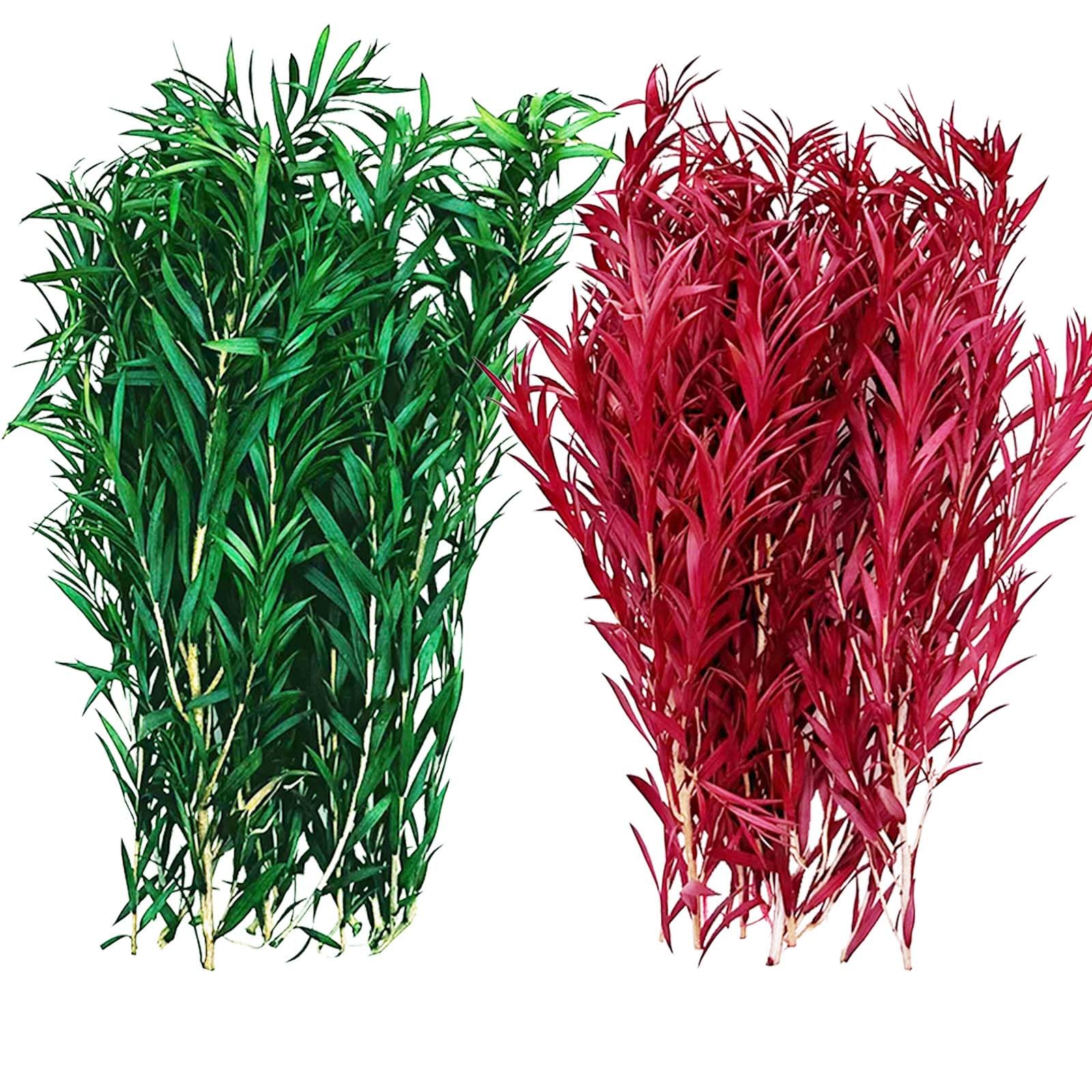 Cayway 2 Color Static Grass Tuft, Green and Red HO Scale Model Vegetation for DIY Architecture Building Model Railway Train Diorama Garden Scenery