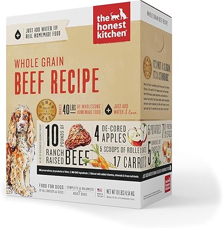 boston terrier pug chihuahua mix