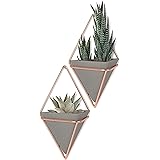 Umbra Trigg Hanging Planter Vase & Geometric Wall Decor Container - Great For Succulent Plants, Air Plant, Mini Cactus, Faux Plants and More, Concrete Resin/Copper (Set of 2)