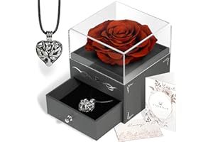 VISIBILIO Preserved Rose with Necklace, Forever Real Rose, Passion Red Gifts for Women, Long Lasting Rose Box, for Wife, Romantic Gifts for Her, Mother's Day Necklace, Rose