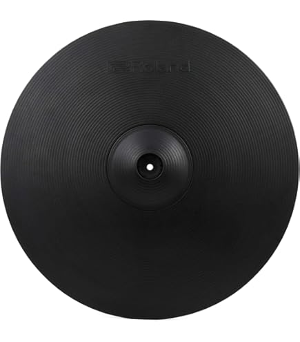 【Shodai様限定】Roland DP-10 & EV-5 & KS-12 21QOztUB81L._UF350,350_QL80_.jpg