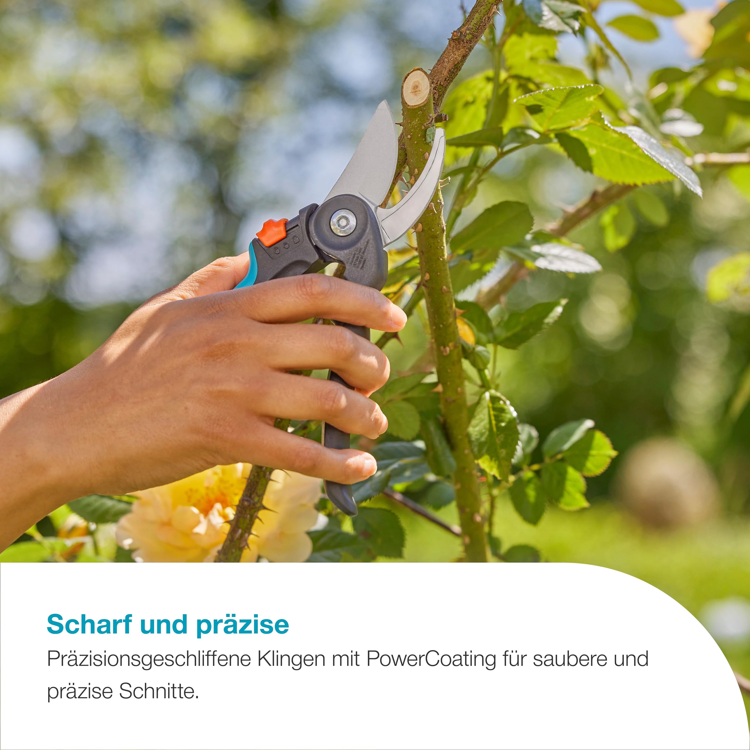Gardena PremiumCut Flex Gartenschere, Bypass-Schnitt, für frisches Holz, 24 mm Schnittdurchmesser, ergonomische Griffe, PowerCoating-Klingen, in Deutschland hergestellt (12242-20) 4