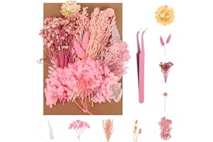 QSCFKL Dried Pressed Flowers, Dried Flowers for Crafts Natural Dried Flowers Mixed, Hydrangeas, Daisies, Natural Pressed Flowers Pink Decorative Dried Flowers for Crafts (Pink Series)