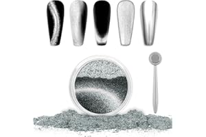 Laza Cat Eye Chrome Nail Powder Chameleon Magnetic Powder 9D Cat Eye Effect Mirror Effect Pigment Dust Magic Galaxy Holographic Effect Glitter with Magnetic Stick for Velvet Nail Art - Silver Velvet