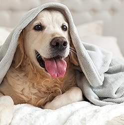 Vellux Plush King Size Blanket - All Season