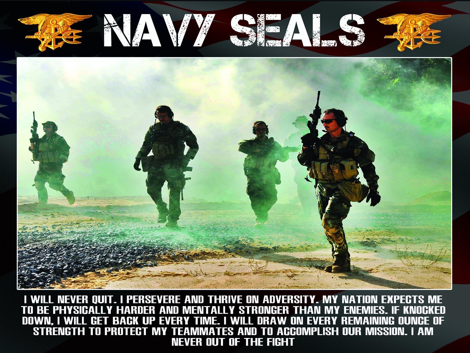 Navy Seals Poster Us Navy Seals NavySeals Navy Poster 18x24 (SEALSV2)