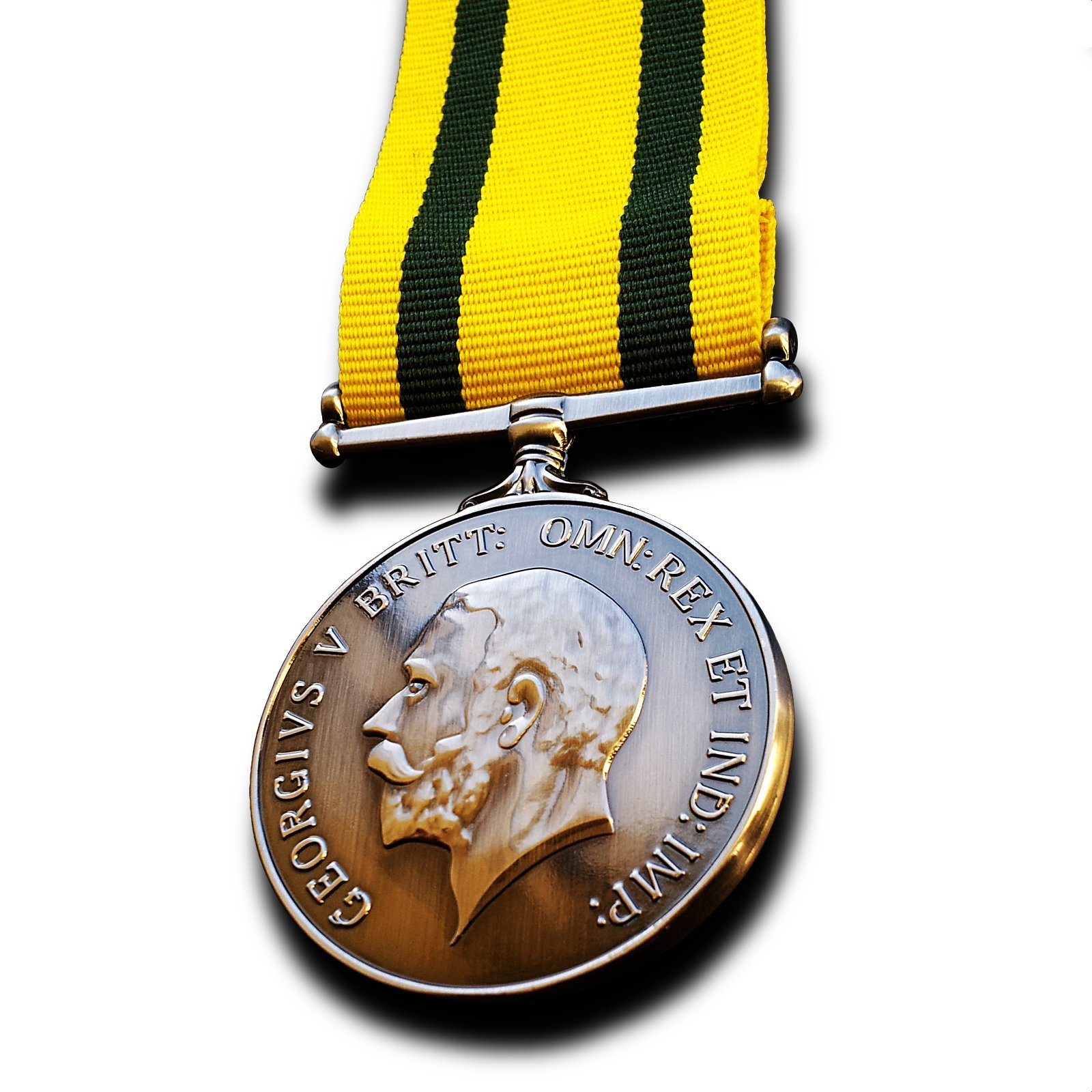 Goldbrothers13 Territorial Force War Medal Territorial Army Nursing Service TF WW1 British Copy