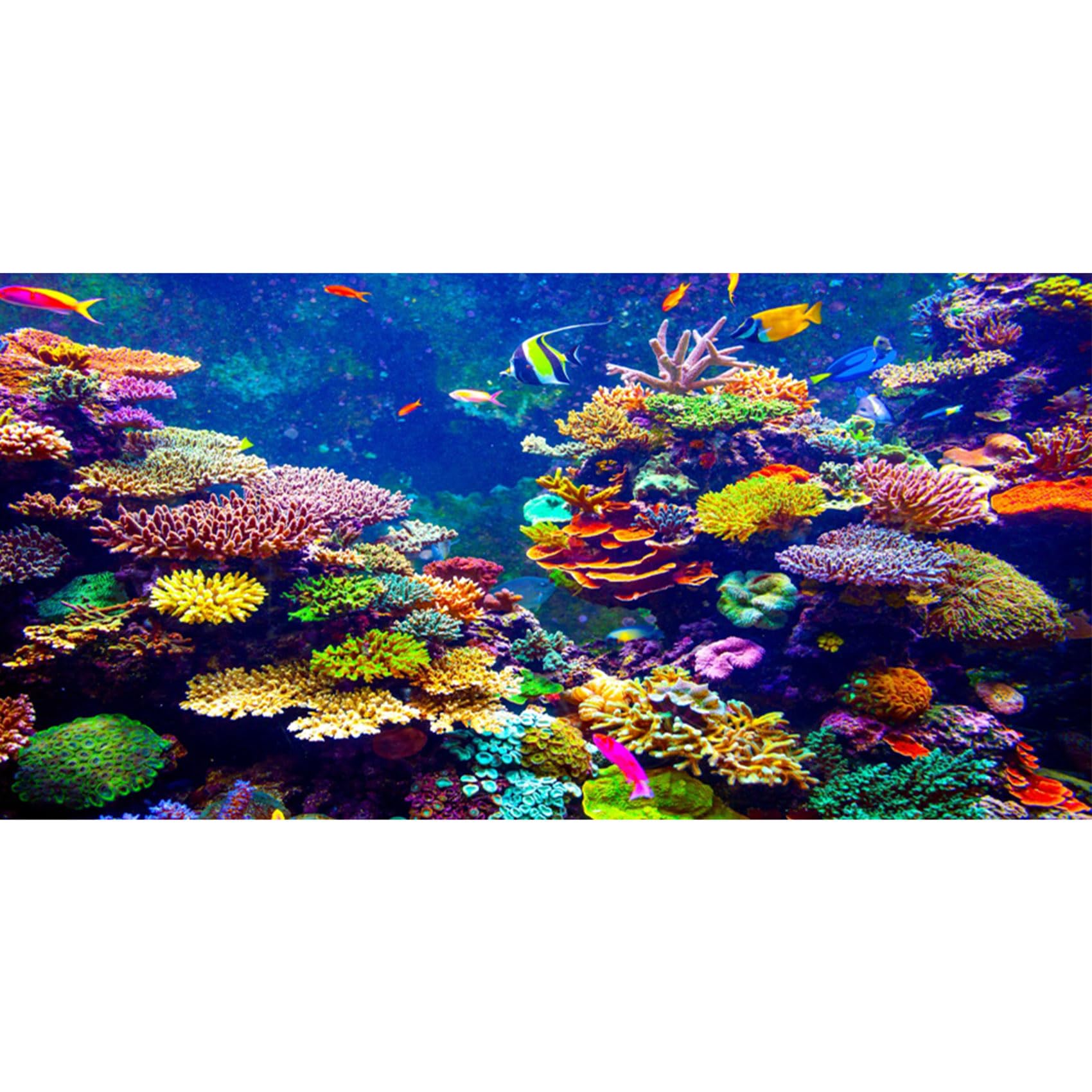 MIRRORANG 120x50cm Aquarium Background Coral Tropical Fishes Underwater World Fish Tank Background Durable Vinyl Background