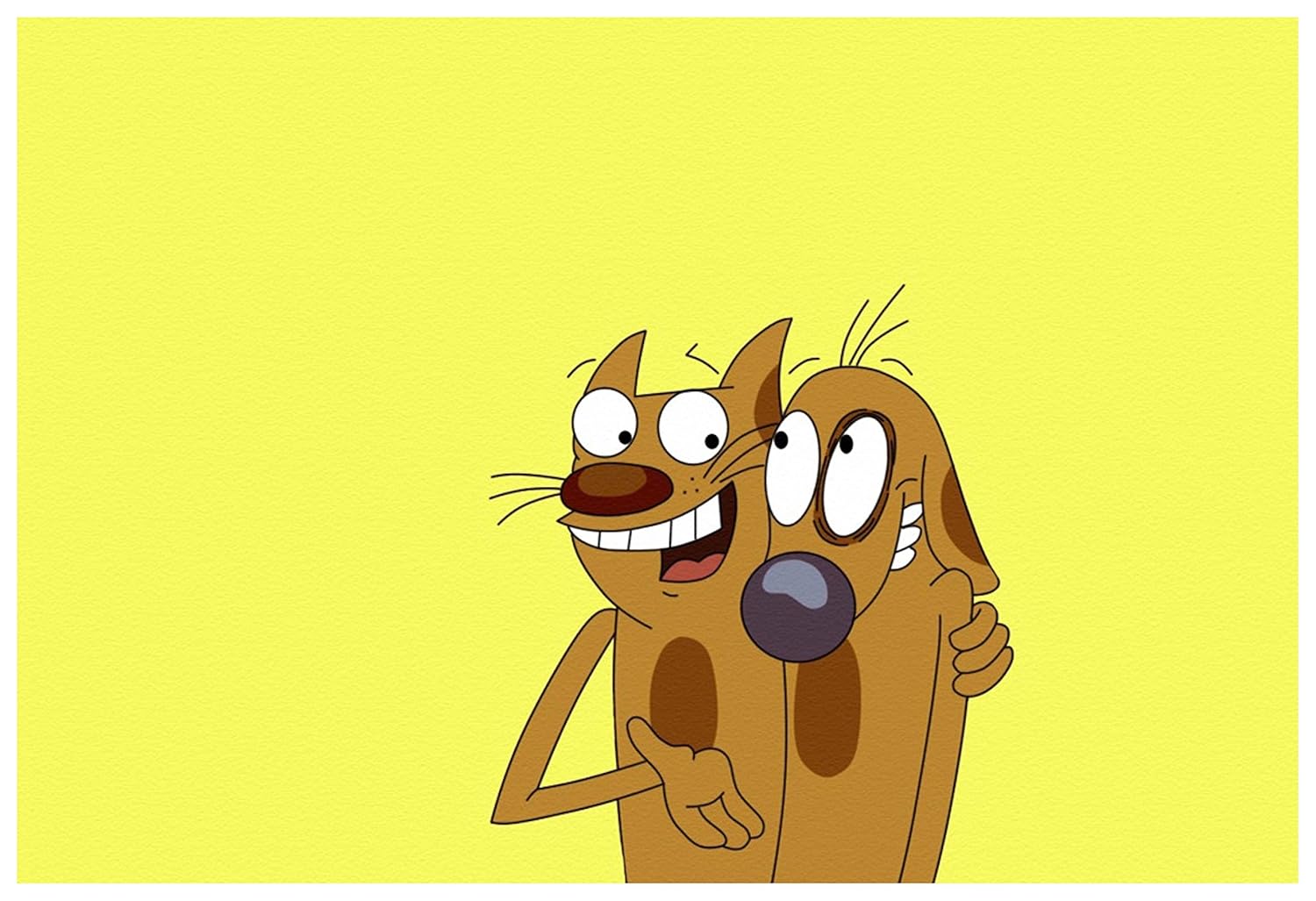 Rawpockets Catdog Face Anime Wall Poster Paper Board 33 X 48 Cm Amazon In Home Kitchen