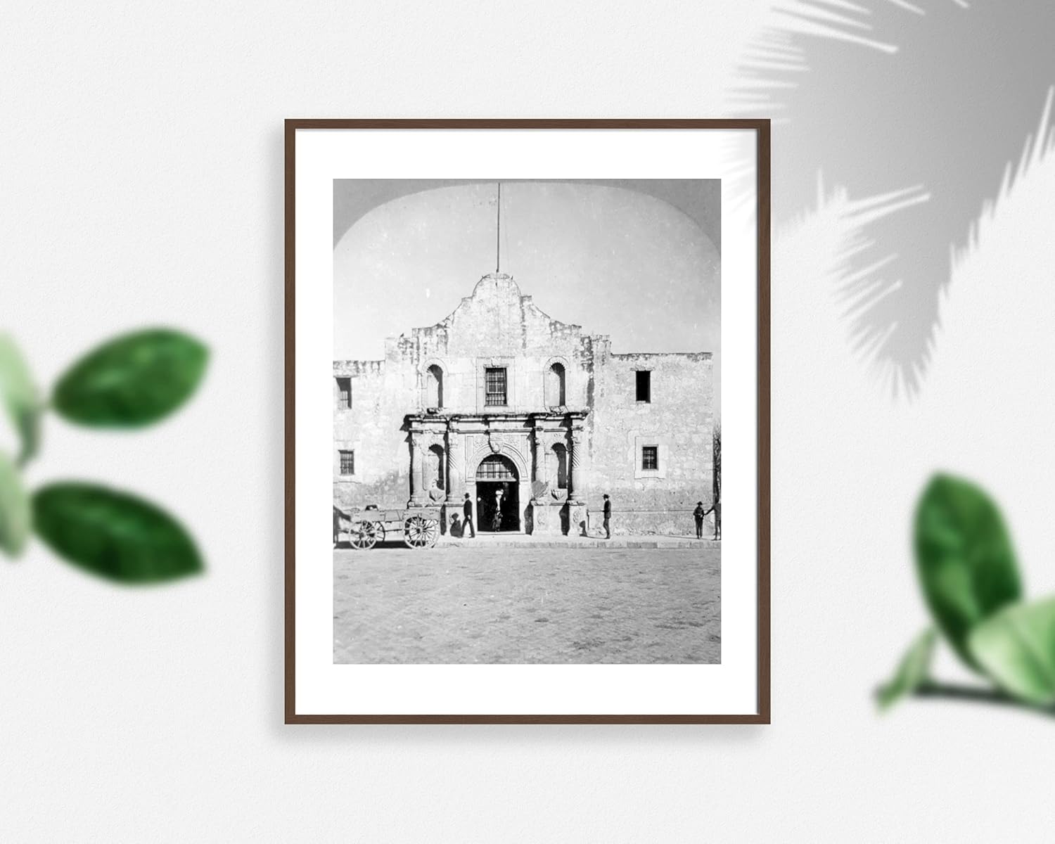 Photographs - INFINITE PHOTOGRAPHS Photo: The Alamo, San Antonio, Texas, TX, Bexar County, 1909, People, Wagon