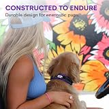 Black Rhino Comfort Collar Ultra Soft Neoprene Padded Dog Collar Large view 6