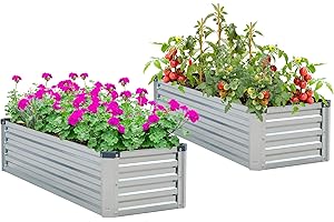 HANPIU Raised Garden Bed 2 Pack Galvanized Raised Garden Beds Outdoor for Gardening Vegetable Raised Flower Bed Small Metal Planter Raised Beds with Garden Apron & Gloves 4x1.5x1ft