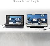 ASUS ZenScreen MB166C 15.6 inch Portable USB Monitor Full HD IPS USB-C view 2