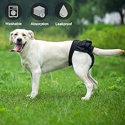 Washable Female Dog Diapers, Puppy Diapers for Dog