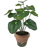 Fake Plants Artificial Pilea Peperomioides Faux Chinese Money Plant Pancake Plant UFO Plant Unbreakable Pot Included for…