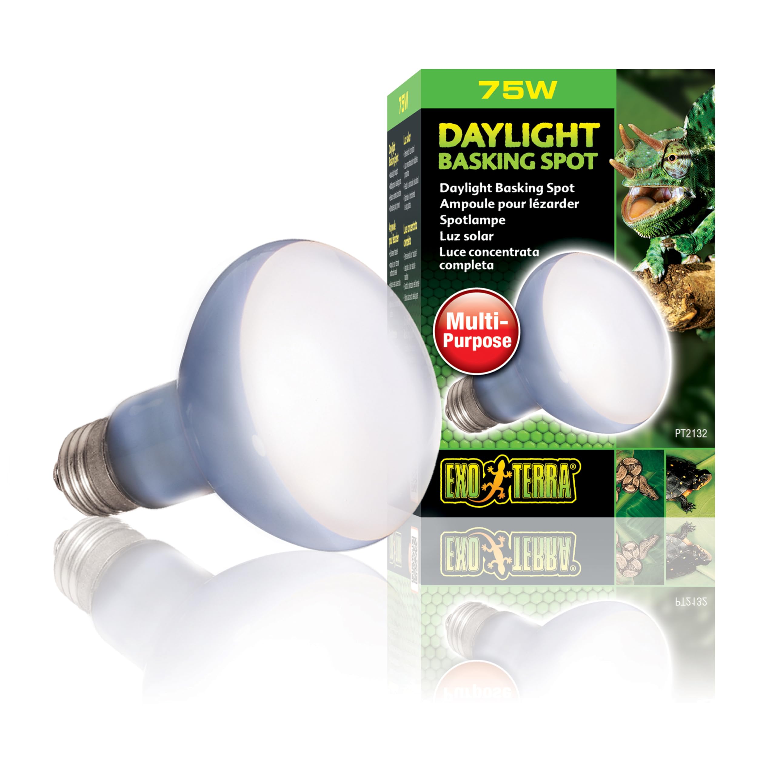Exo Terra Daylight Basking Spot Lamp, 75 W, 1 Count (Pack of 1)