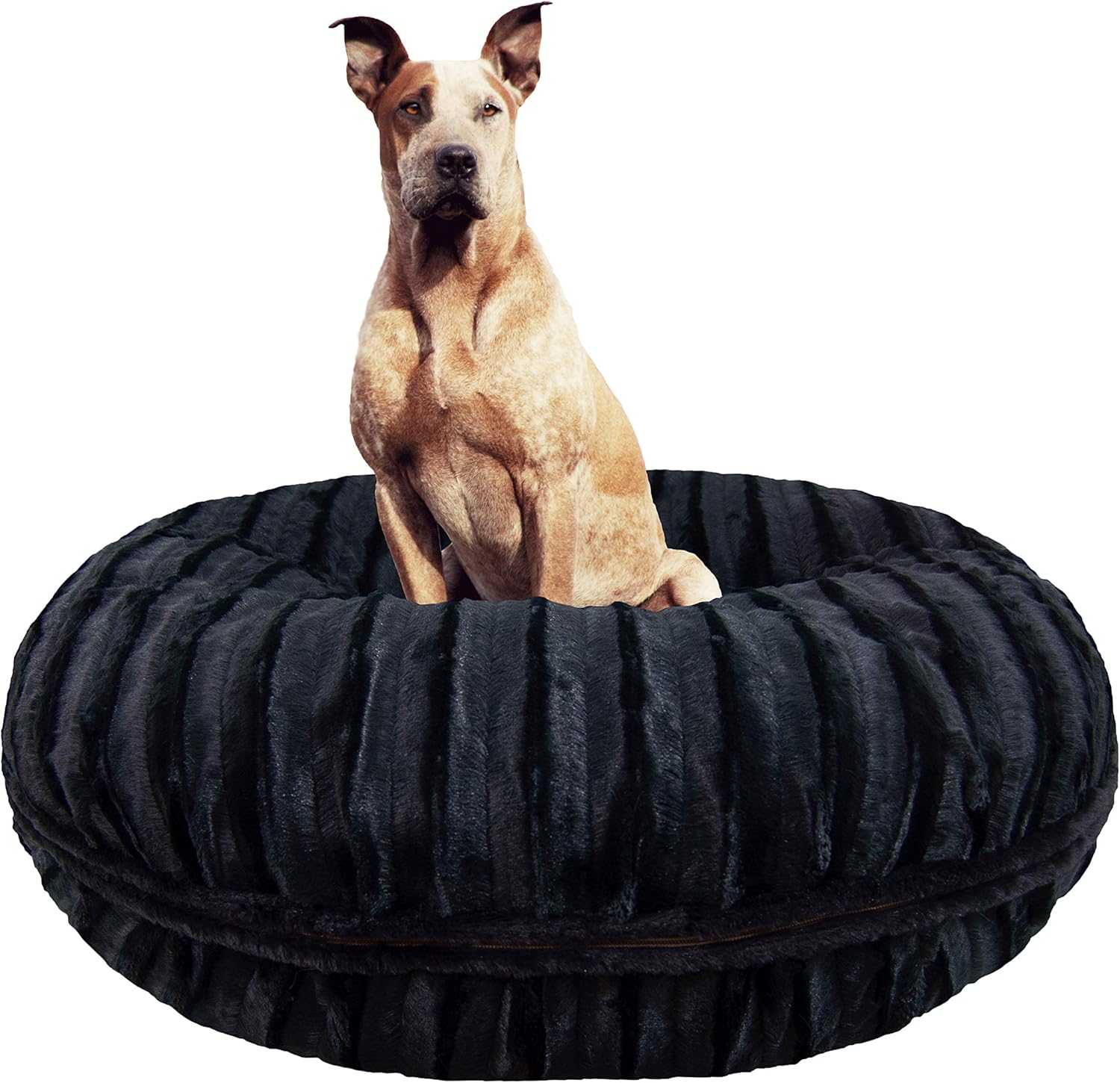 Best bessie and barnie bed lg