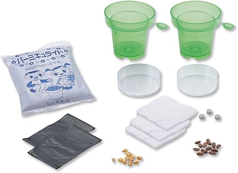 Amazon 植物の発芽と成長aセット 生態 採集 おもちゃ