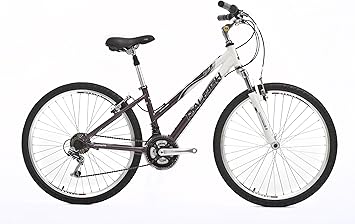 raleigh tundra ladies bike