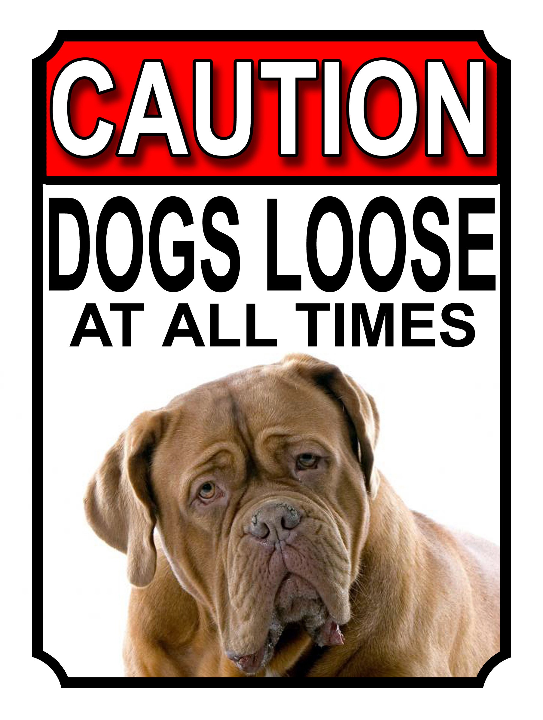 SHAWPRINT CAUTION DOGS LOOSE AT ALL TIMES METAL GATE SIGN BULLMASTIFF 200MM X 150MM (1189H1) โ image 1