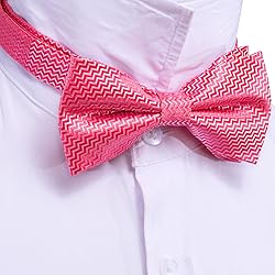 Barry.Wang Pink Bow Ties for Men Pre-tied Bow Tie