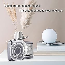 XHDATA D219 Portable AM FM Shortwave Radio Battery