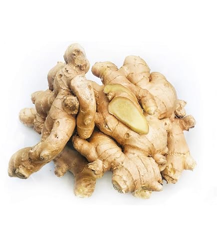 Amazon.com: Fresh Ginger Root 7oz (200g) – Whole Raw Ginger