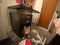 Review Image by Kimberly Guzman Kimberly Guzman