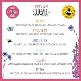 Seedball Wildflower Seed Bombs Wildlife Collection 6 Packs UK view 7
