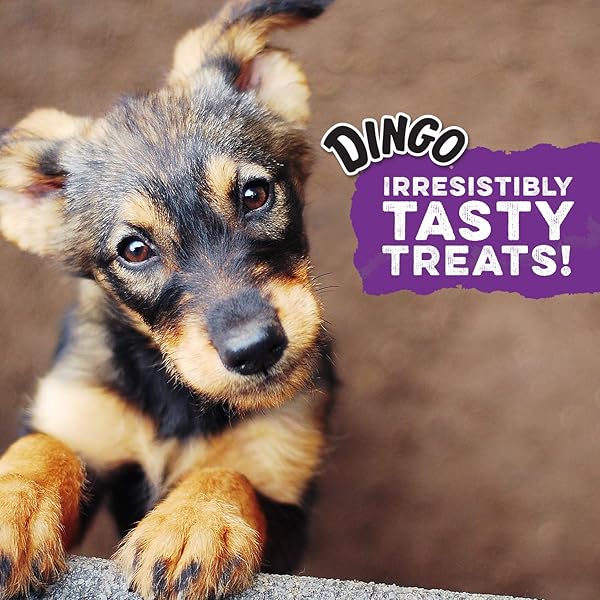 DINGO 95014 MINI BONES, RAWHIDE FOR SMALL/TOY DOGS, RED,14-COUNT