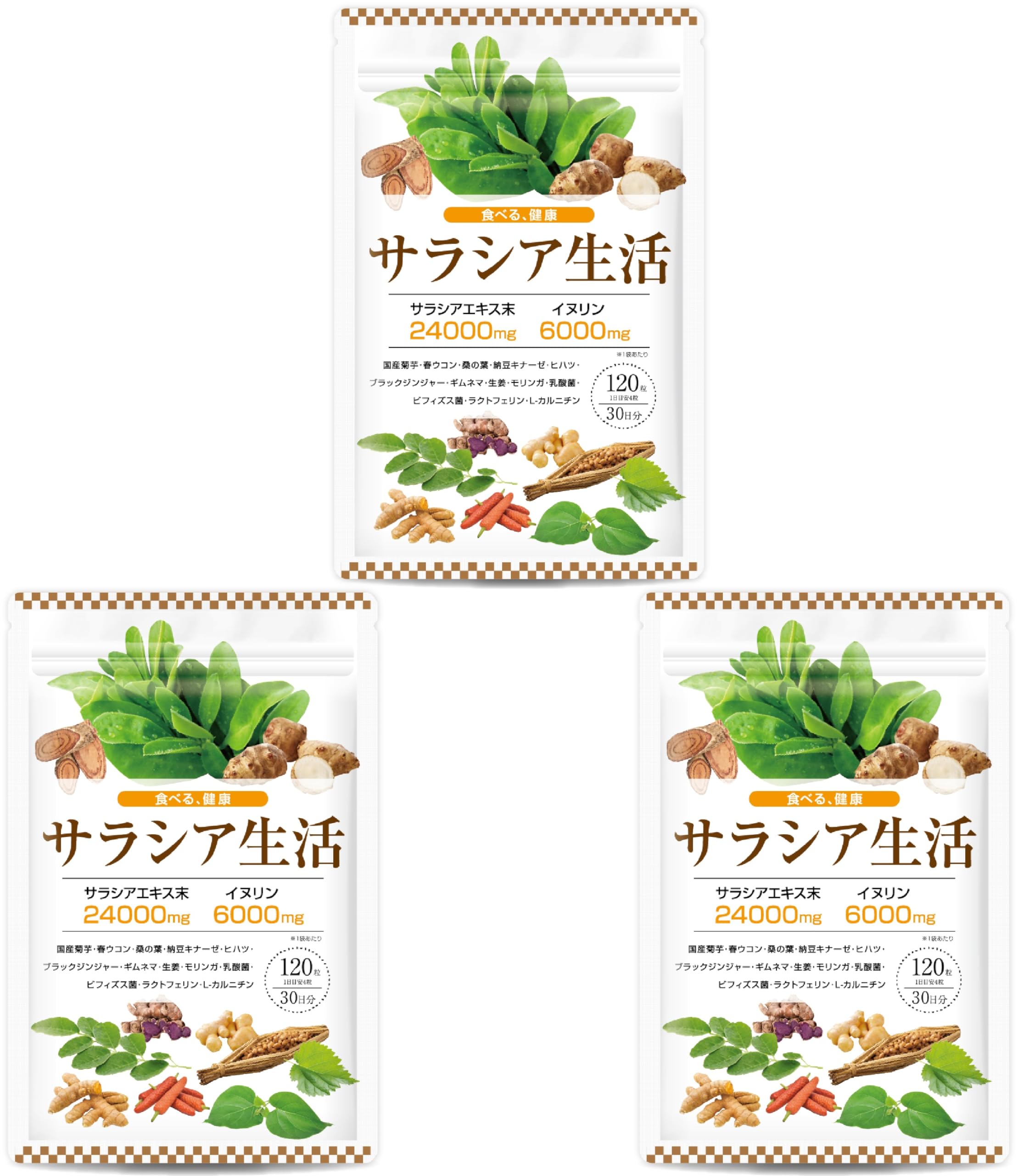 【医師監修】サラシア24000mg イヌリン 6000mg 国産菊芋 桑の葉 16種類の厳選成分 30日分 120粒 GMP国内工場製造 サラシア生活 (3袋) の商品画像
