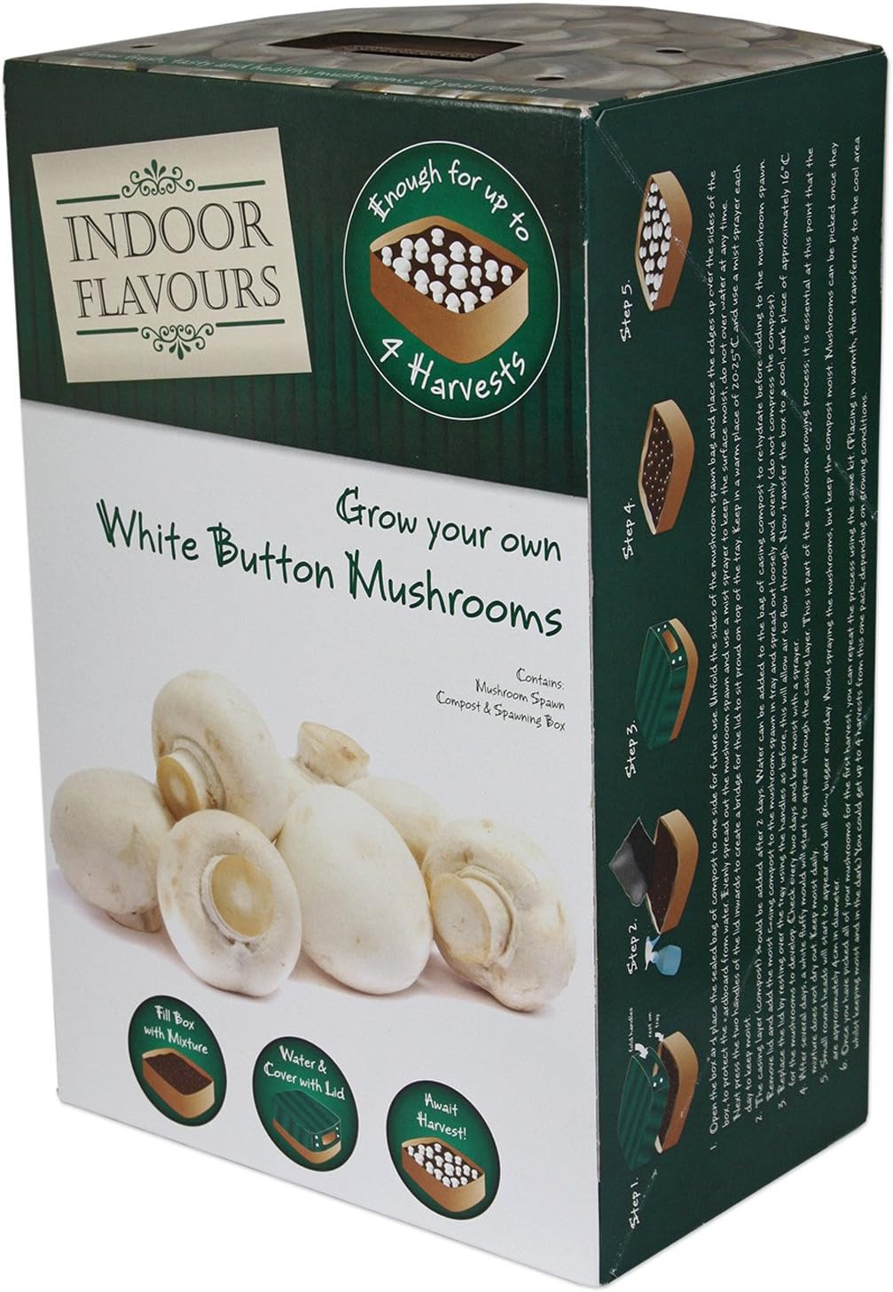 G Plants Mushroom Grow Boxes Indoor Flavours with White Button