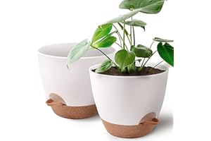 Giraffe Creation 9 inch Plant Pots 2-Pack, Self Watering Flower Pots Indoor Outdoor, Planters with Drainage Hole Saucer Reservoir, White Brown
