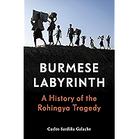 The Burmese Labyrinth: A History of the Rohingya Tragedy book cover