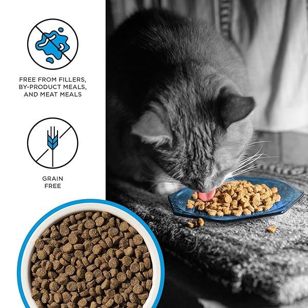 LIBERTY DRY FOOD SALMON RECIPE FOR CATS, 3LB
