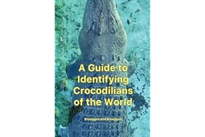 A Guide to Identifying Crocodilians of the World