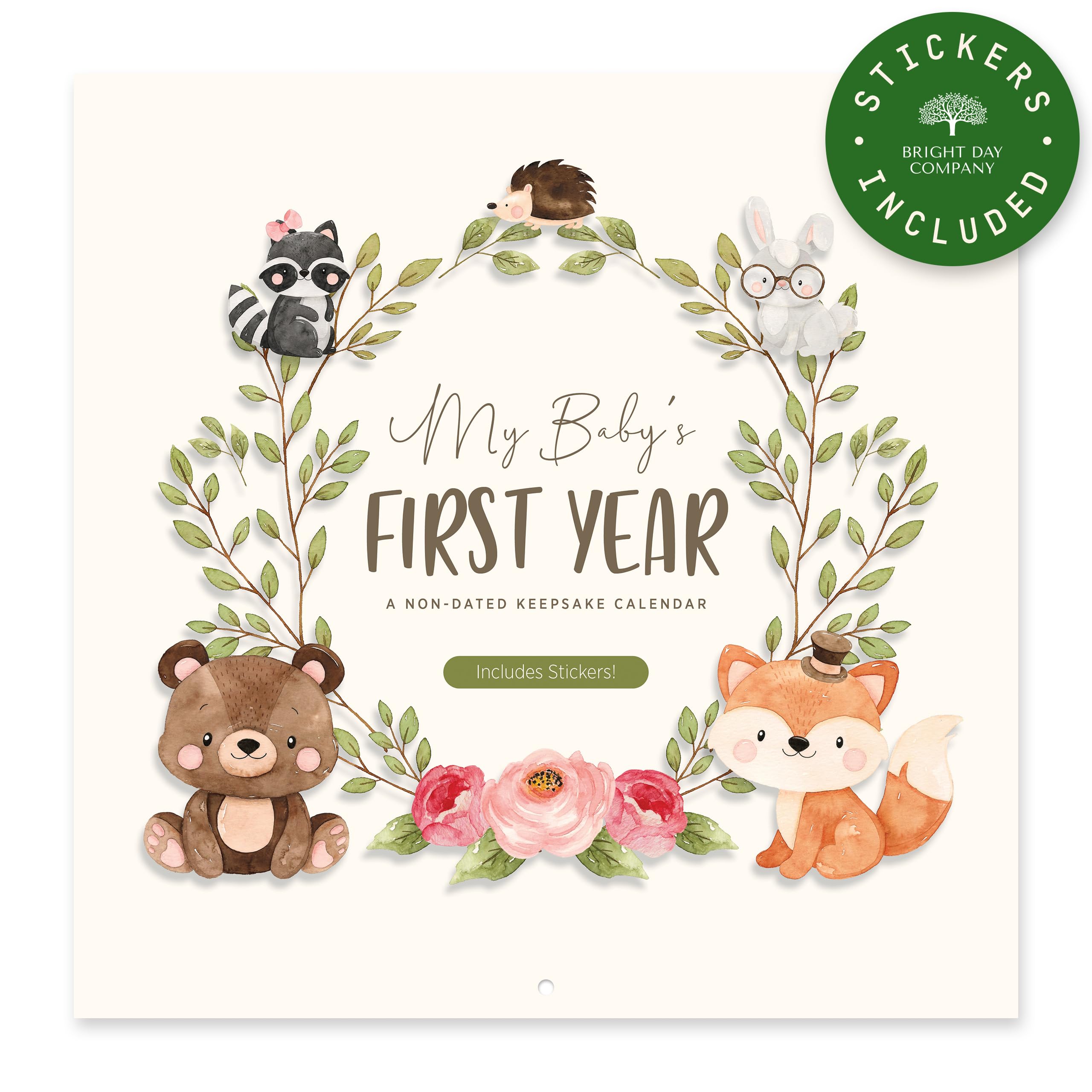 Bright Day Baby's First Year Calendar - 1st Year Tracker - Journal Album To Capture Precious Moments - Milestone Keepsake For Girl or Boy