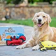 BoxDog - 4 Giant Seasonal Dog Boxes per Year Filled With Handmade Treats, Vegan Skincare, Dog Toys, Gear &