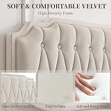 Yaheetech 5ft King Bed Frame Upholstered Platform Beige Velvet view 4