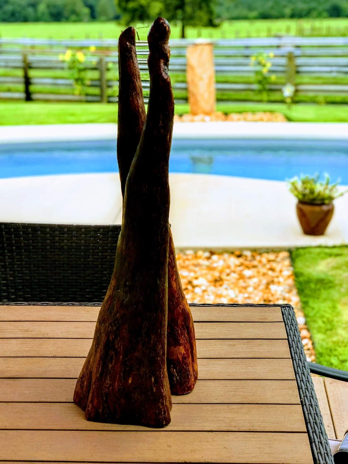 Cypress Tree Knees Fresh Cut Wood Handmade