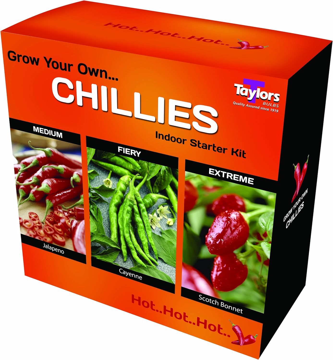 GROW YOUR OWN CHILLI STARTER KIT Amazon.co.uk Garden & Outdoors