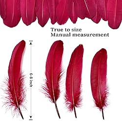FeelfunFeather 120pcs Wine Red Goose Feathers 6-8