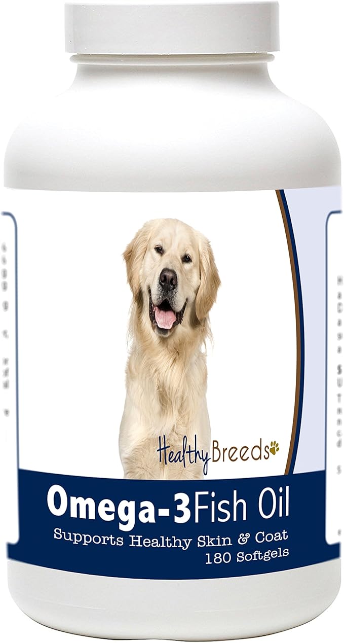 maltipoo puppies size