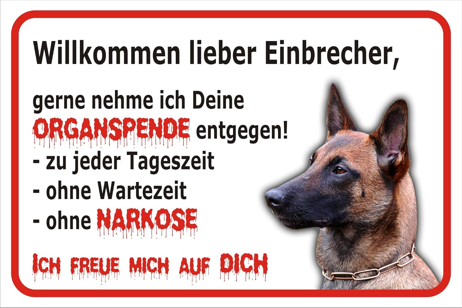 Amazon.de Schild Vorsicht Malinois Willkommen lieber Einbrecher